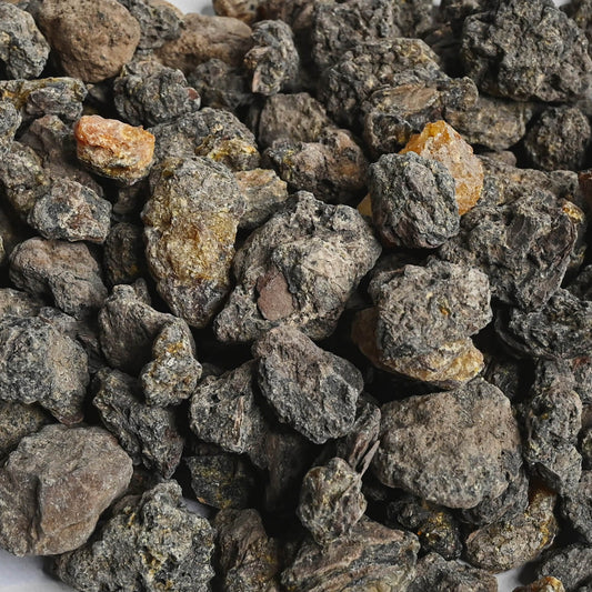 Black Copal Intenso (Protium Grandifolium) Ceremonial Incense Resin Guide