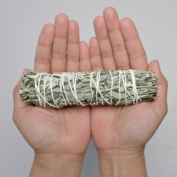 Blue Sage (Salvia Azurea) Smudge Stick Guide