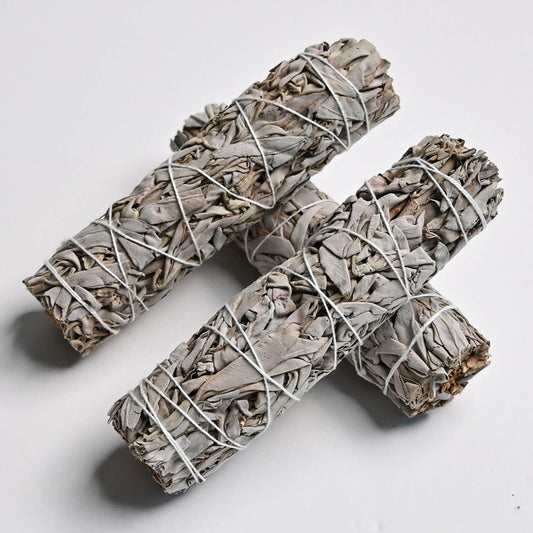 White Sage (Salvia Apiana) Smudge Stick Guide