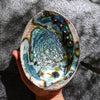 Abalone-Shell-XL-Maison-Etherique-Dubai-2 - Maison Éthérique