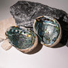Abalone-Shell-XL-Maison-Etherique-Dubai-3 - Maison Éthérique