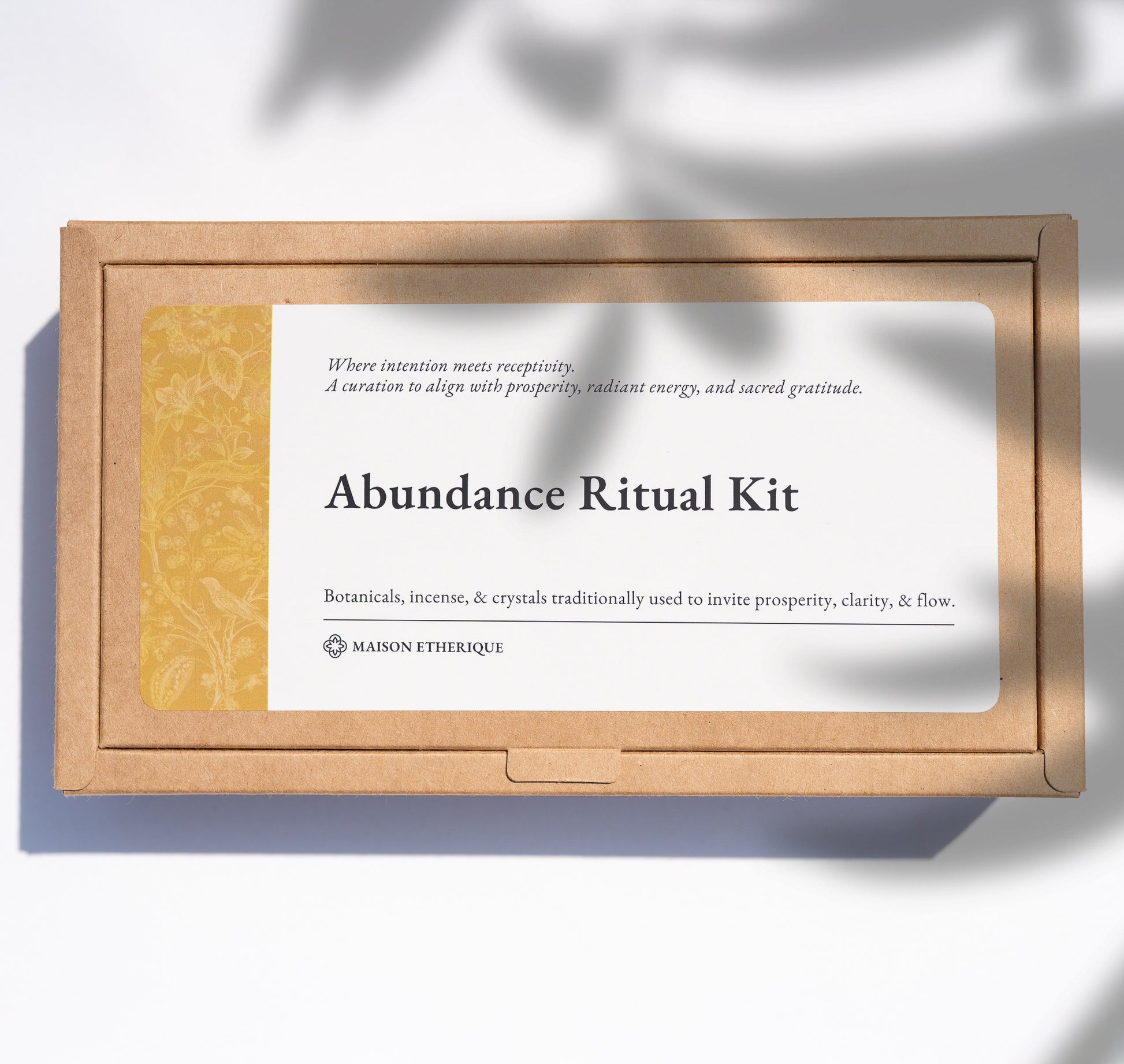 package of Abundance ritual kit