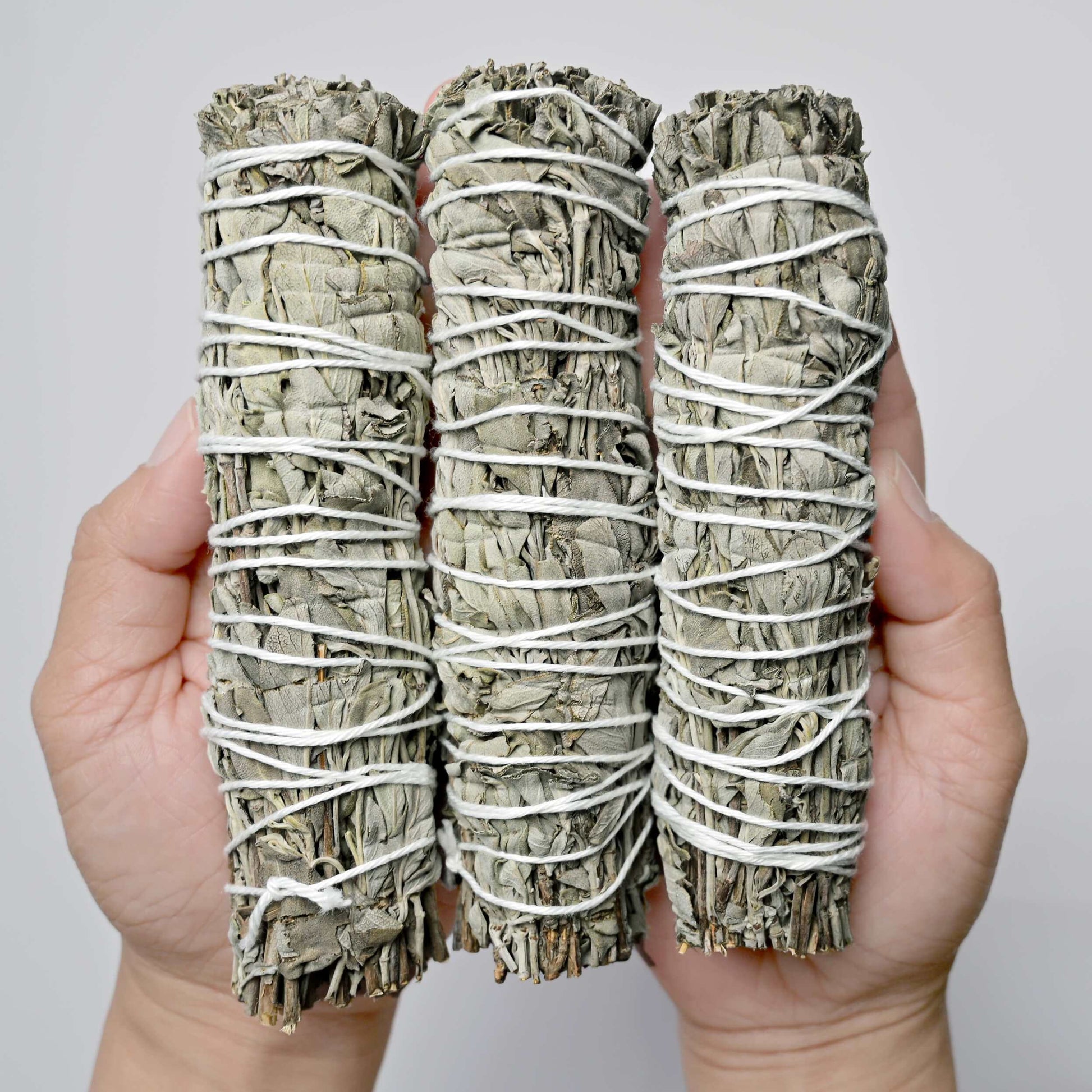 3 Smudge sticks of Blue Sage in Hands