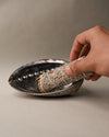 Blue sage on abalone shell