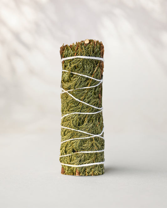 Cedar smudge stick standing upright, green cedar sprigs bound with white string, on a pale surface.