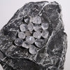 Clear-Quartz-Tumbled-Stone-Maison-Etherique-2 - Maison Éthérique