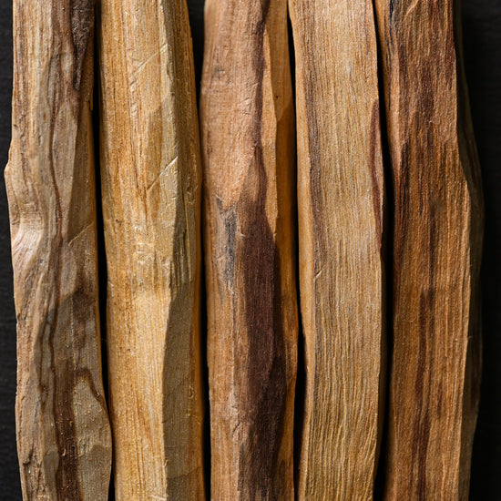 Close-up of Palo santo sticks