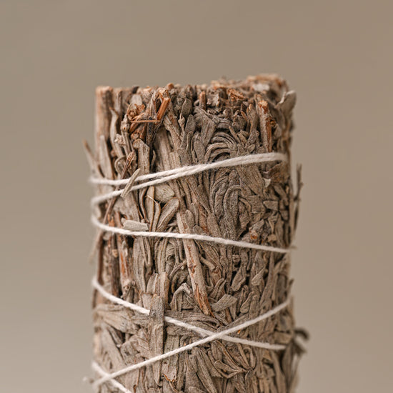 Details of Blue sage