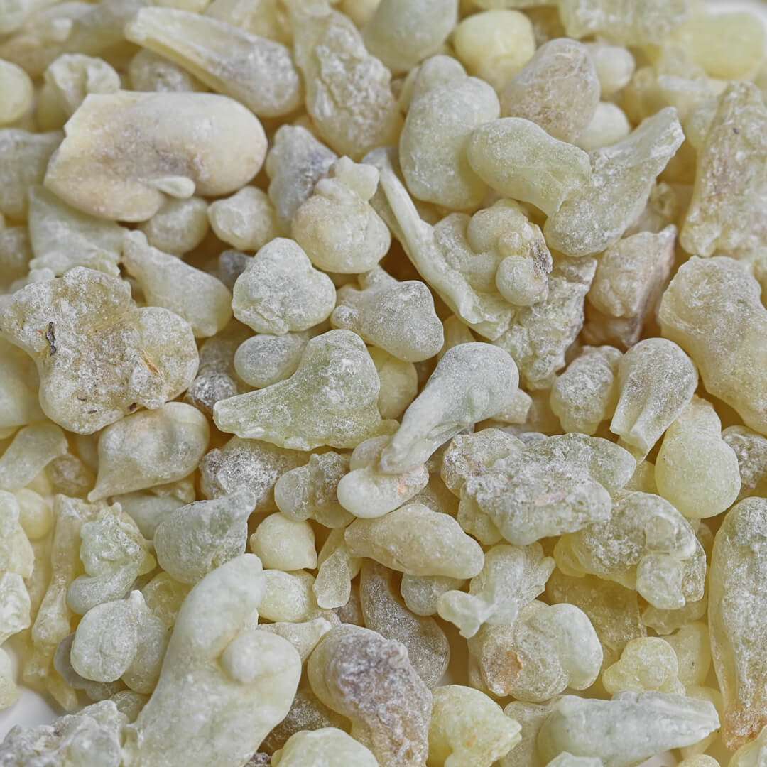 Hojari frankincense close shot