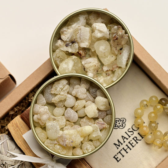 Opened  jars of Frankincense from Oman and White Copal from Mexico