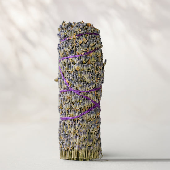 Lavender smudge stick (Lavandula angustifolia) standing upright, flower heads bound with purple string, on a pale surface.