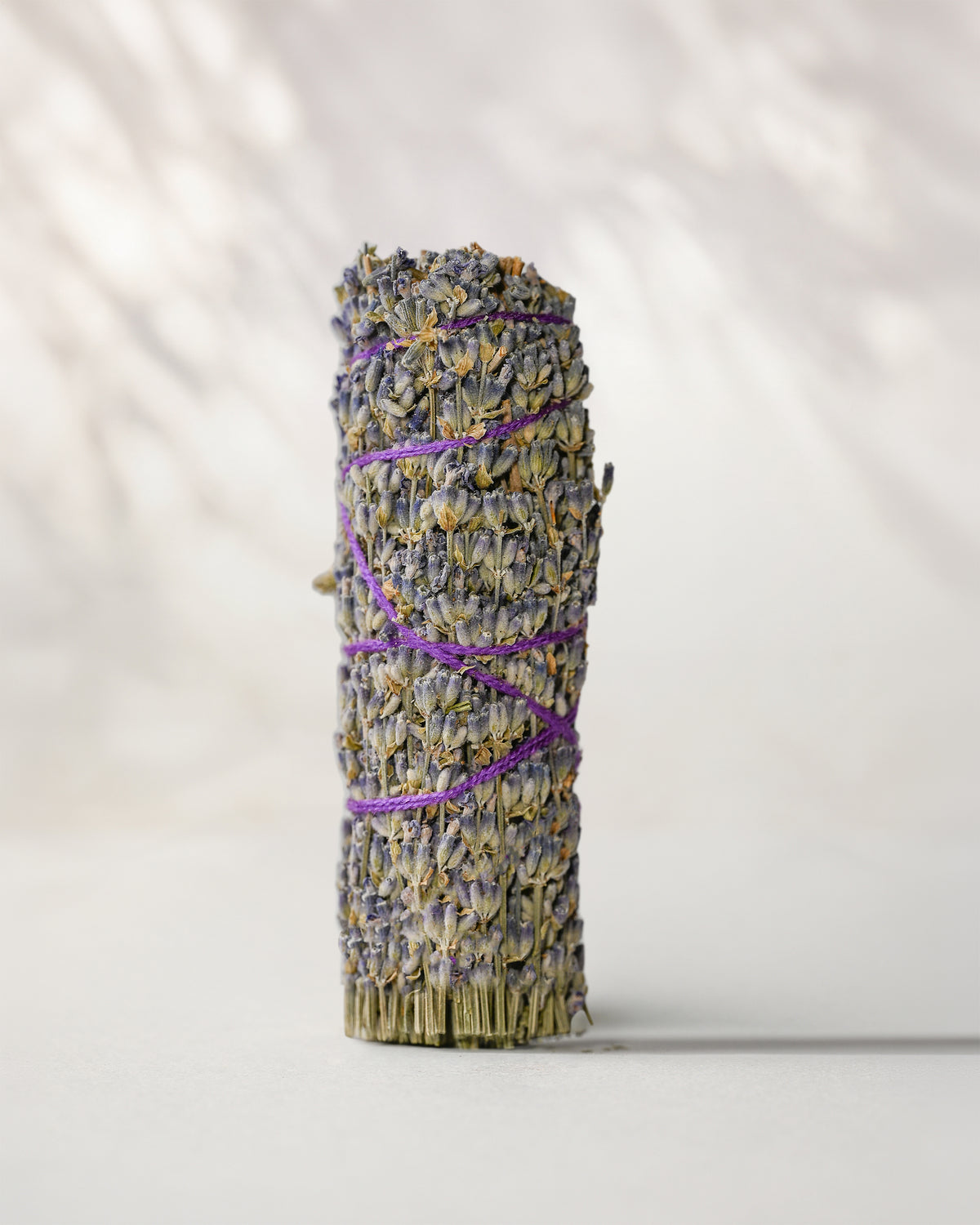 Lavender smudge stick (Lavandula angustifolia) standing upright, flower heads bound with purple string, on a pale surface.
