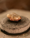 Melting macro shot of frankincense