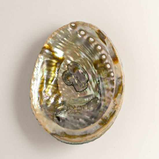 Natural Abalone Shell by Maison Etherique