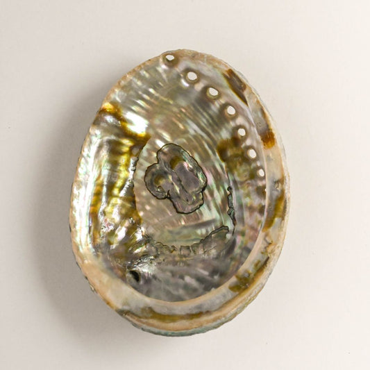 Natural Abalone Shell by Maison Etherique