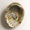 Natural Abalone Shell 4-5 inches 