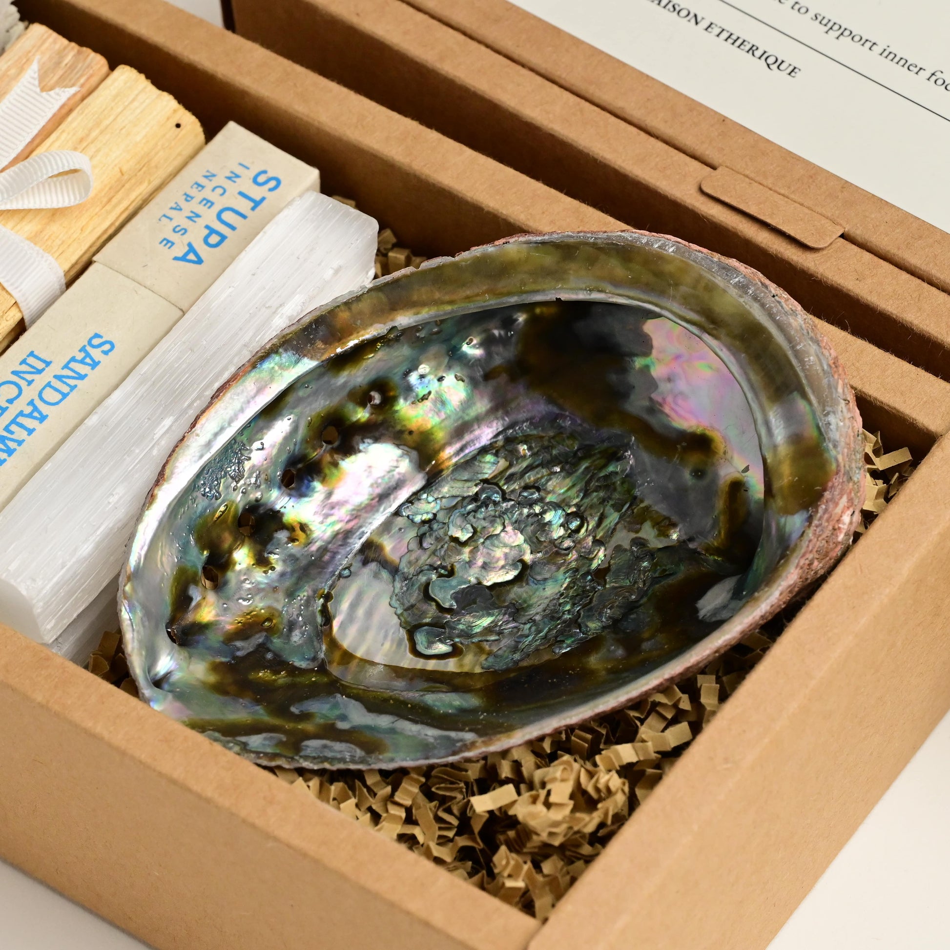 Natural Abalone Shell