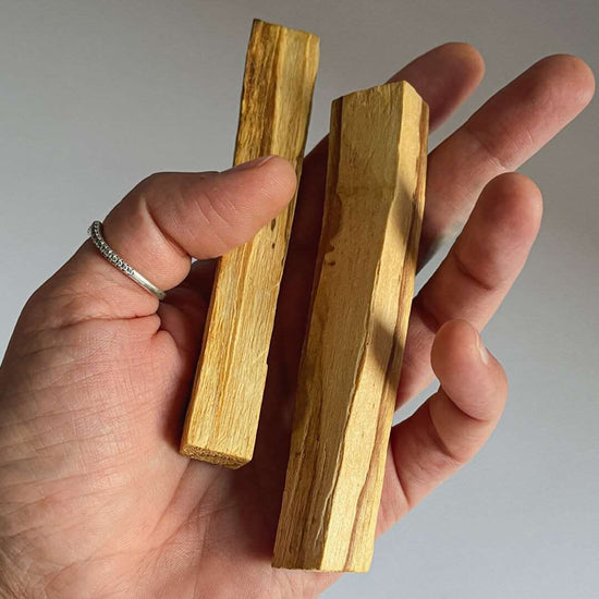 A hand holding 2 Palo Santo Sticks by Maison Etherique