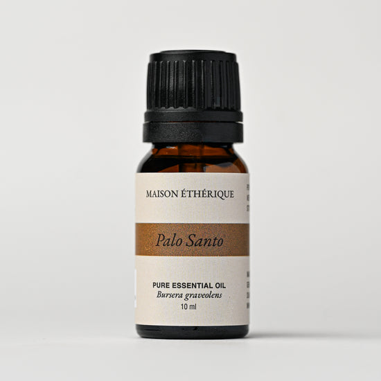 Palo Santo essential oil from Peru: 10 ml amber bottle of Maison Éthérique pure essential oil (Bursera graveolens) on a pale background.