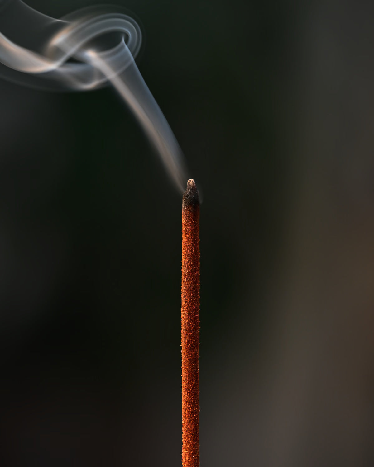 RedSandalwoodRitualSticks