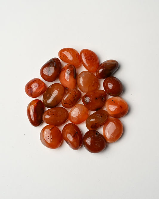 Red Carnelian Tumbled Stone 2