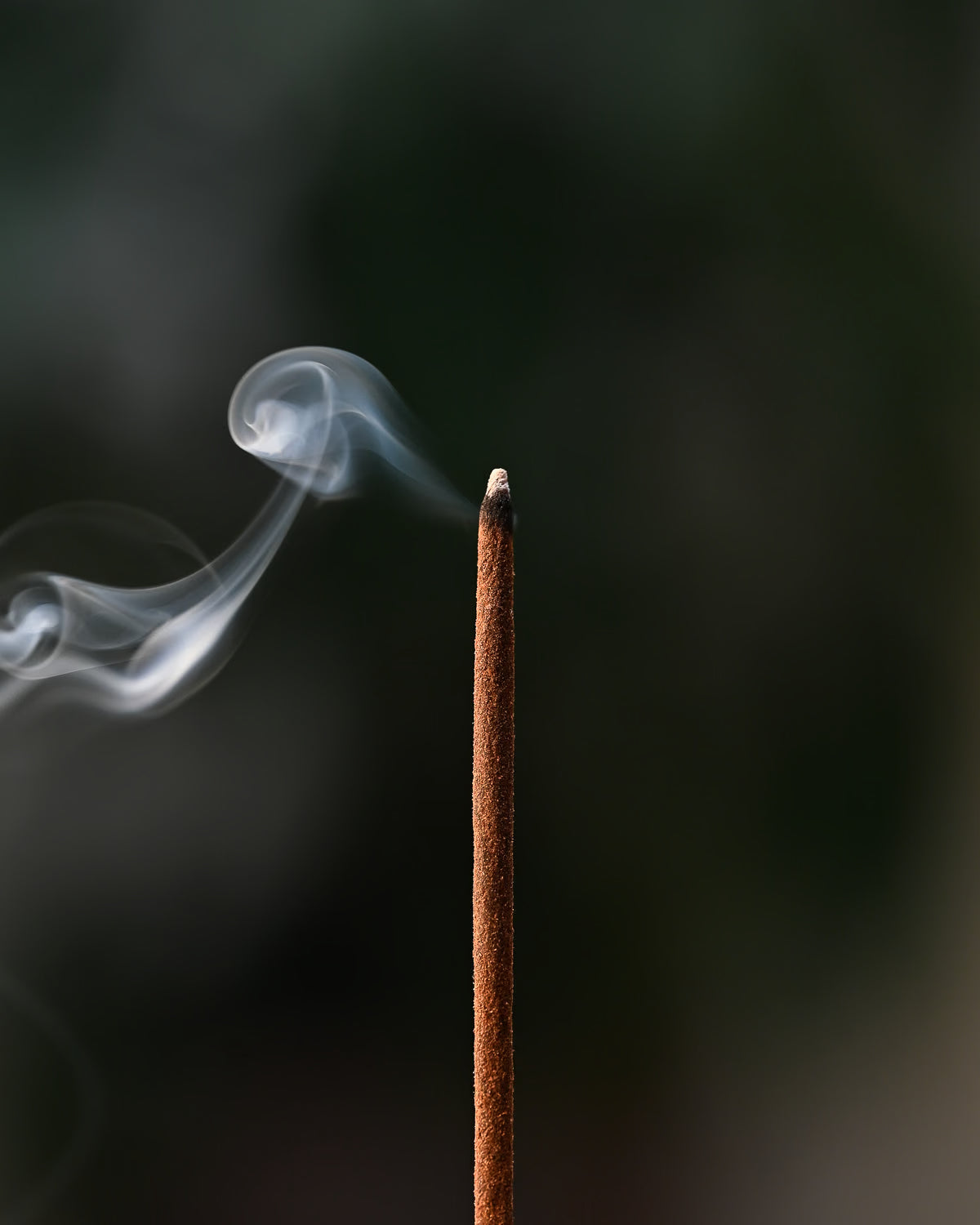 Sacred Sandalwood Incense Sticks 3