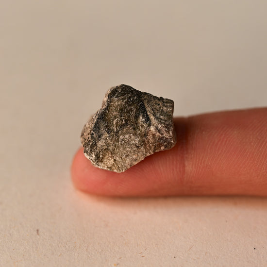Single piece of Black Copal