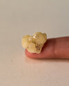 Single piece of Frankincense
