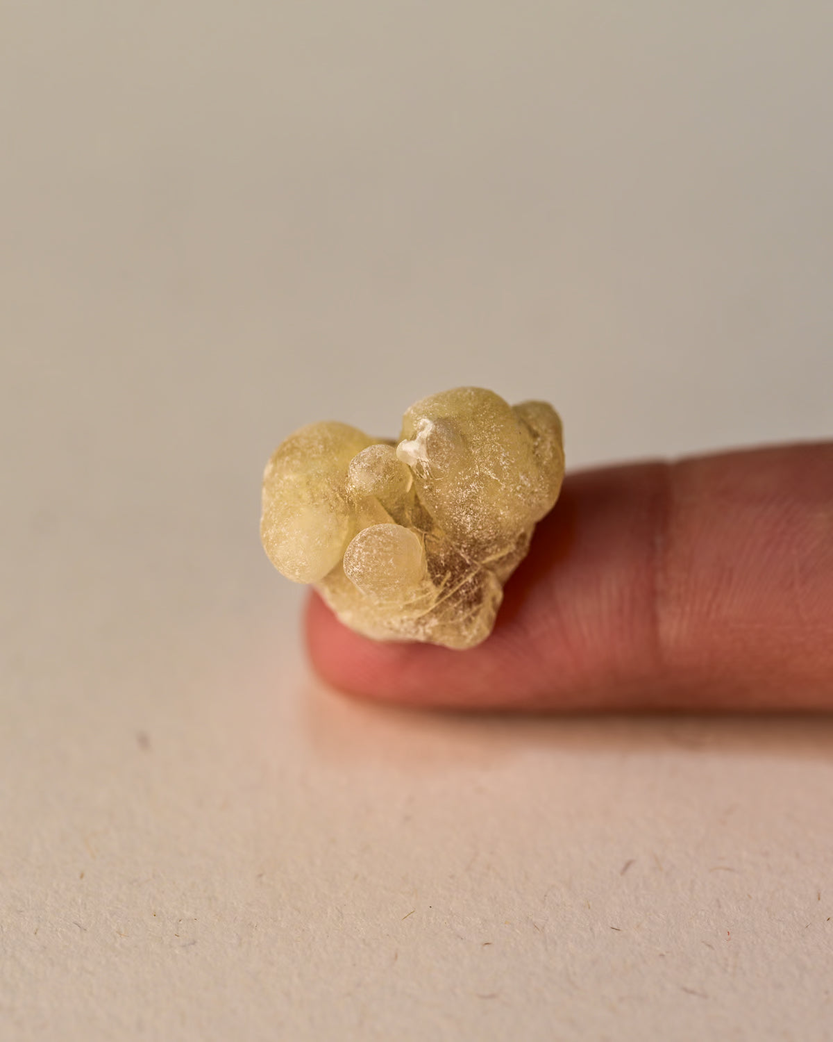 Single piece of Frankincense