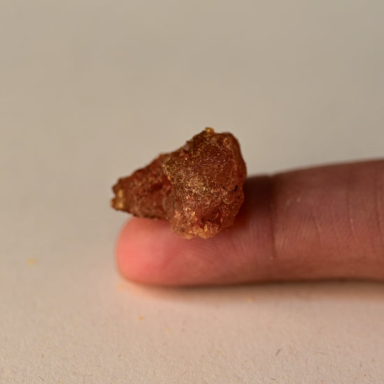 Single piece of Tue Myrrh 
