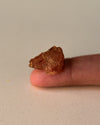 Single piece of Tue Myrrh 