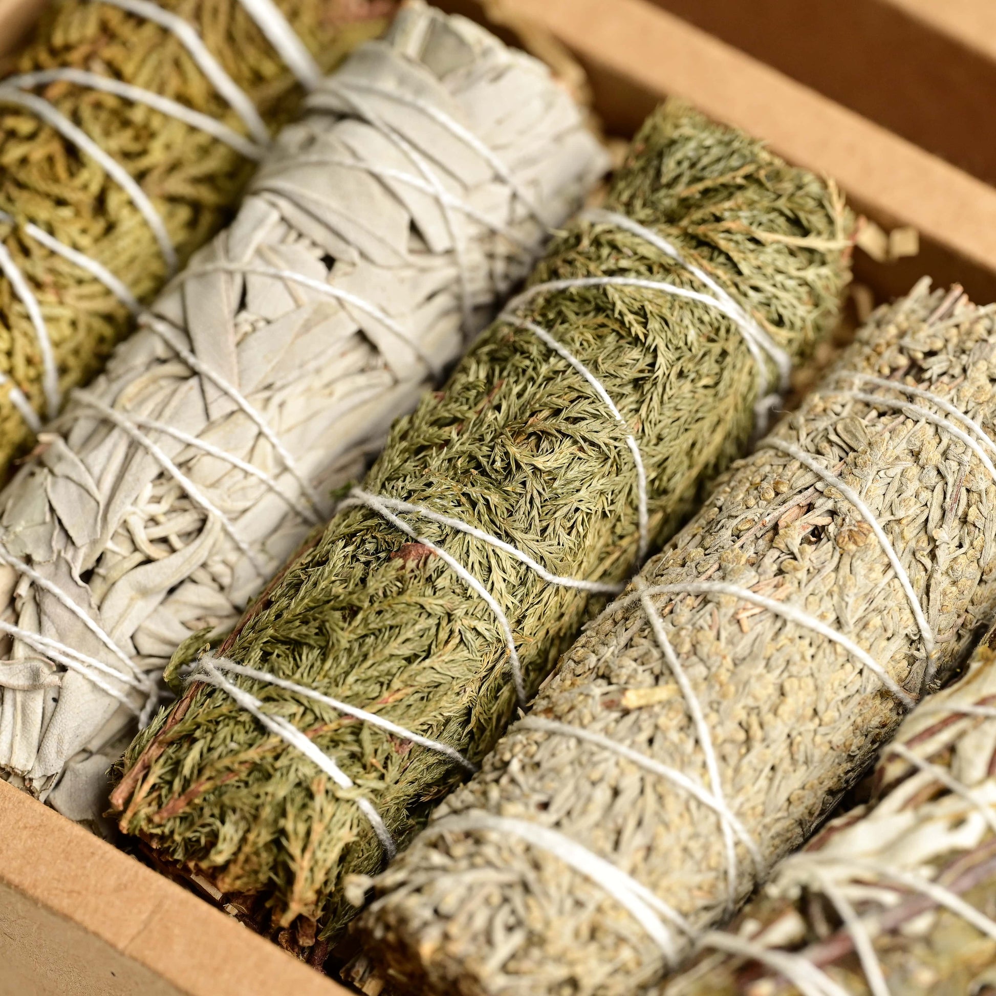 White Sage, Cedar, Blue Sage 