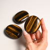 Tiger Eye holding on Hand
