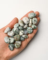 Tree Agate Tumbled Stone 1