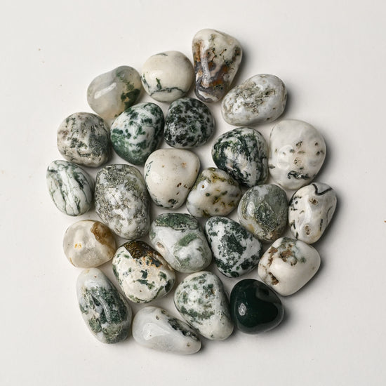 Tree Agate Tumbled Stone 2