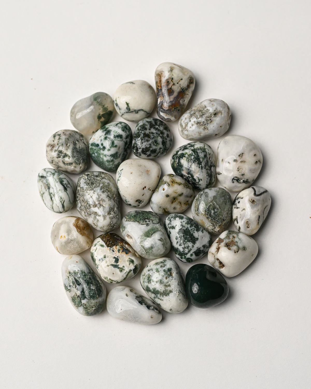 Tree Agate Tumbled Stone 2