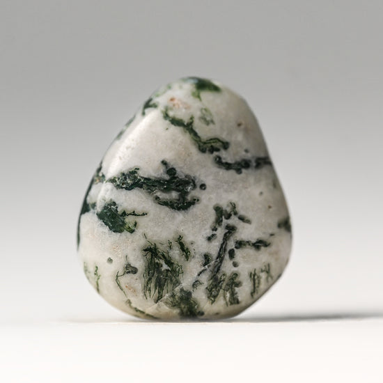 Tree Agate Tumbled Stone 3