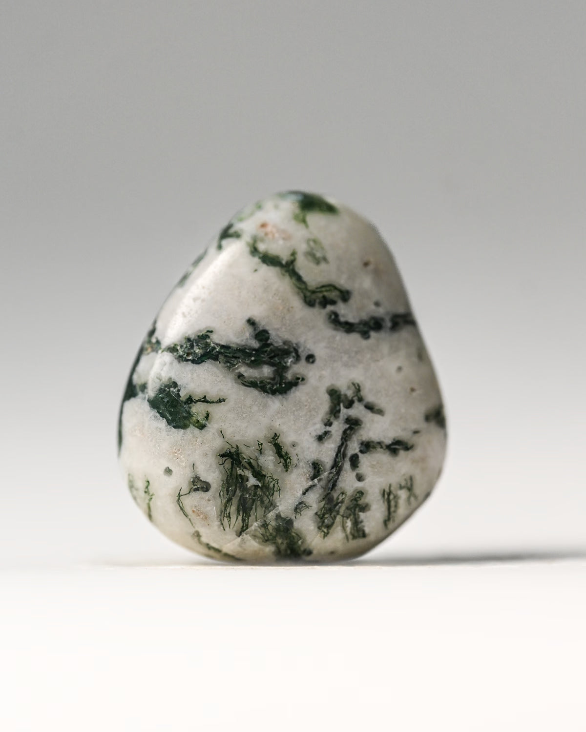 Tree Agate Tumbled Stone 3