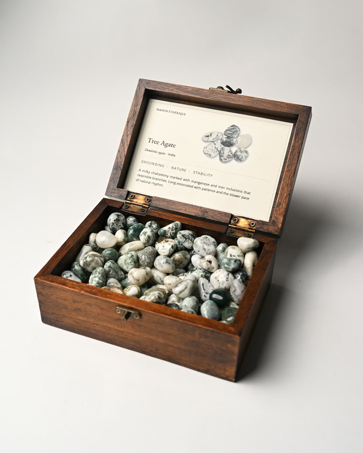 Tree_Agate_Tumbled_Stone_5