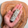 White Sage Smudge Stick (Salvia Apiana) Mexico