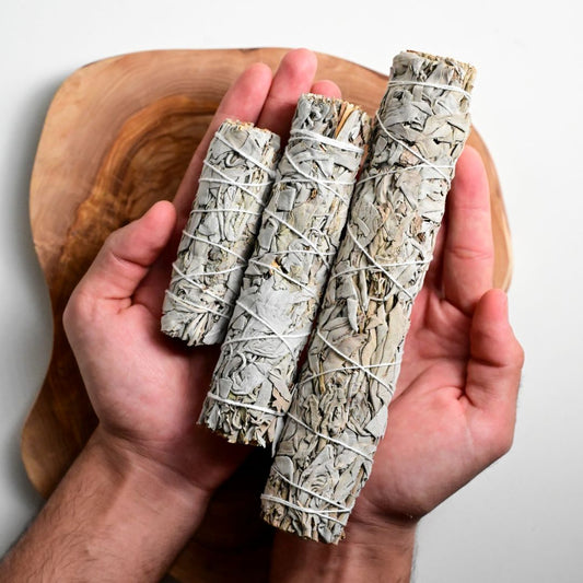 White Sage Smudge Stick (Salvia Apiana) Mexico