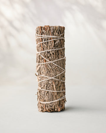 Blue sage smudge stick (Salvia azurea) standing upright, bound with white string, on a pale surface.