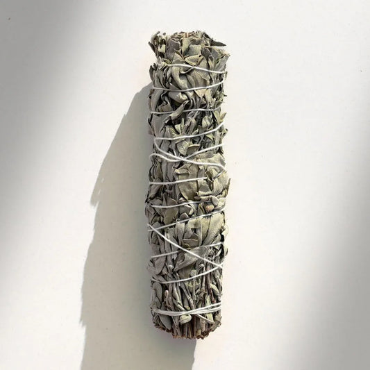 Blue Sage Smudge Stick (Salvia libanotica) from Turkey: one tied bundle of dried grey-green leaves on a white background.