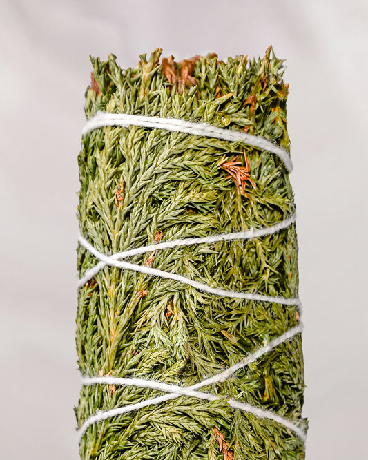 Cedar smudge stick, dried green cedar sprigs bound with white string, shown close against a pale background.