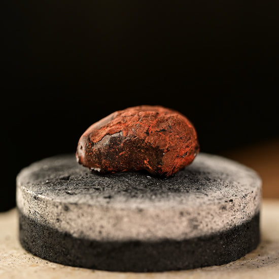 Piece of Dragon's Blood resin resting on a charcoal disc before burning.