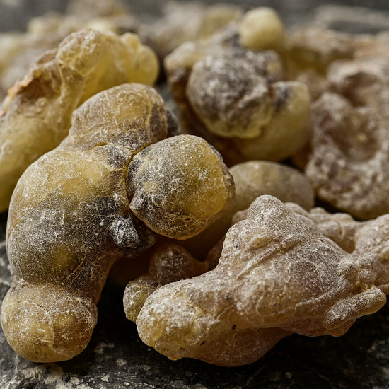 macro shot of Wild hojari resin