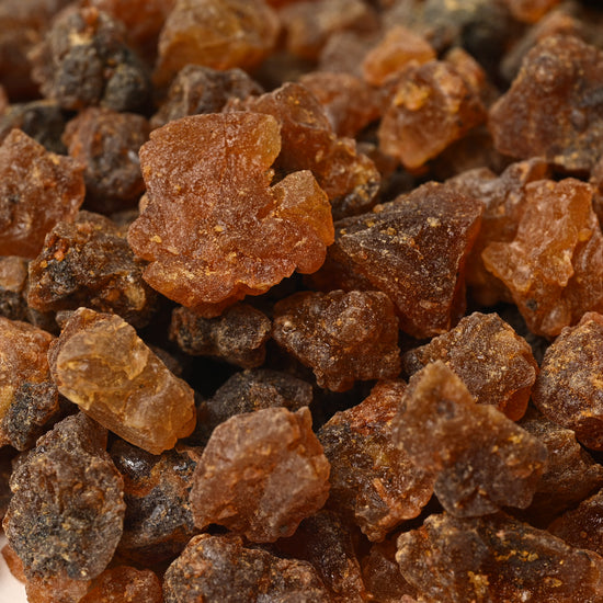 Close view of amber and brown True Myrrh resin pieces (Commiphora myrrha) from Yemen.