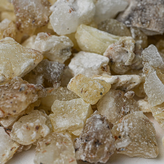 Close view of pale, translucent White Copal resin pieces (Bursera bipinnata) from Mexico.