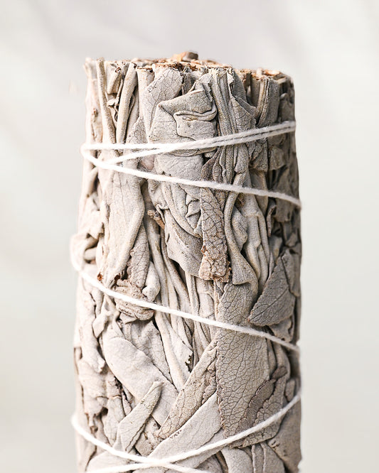 White sage smudge stick (Salvia apiana), dried silver-grey leaves bound with white string, against a pale background.
