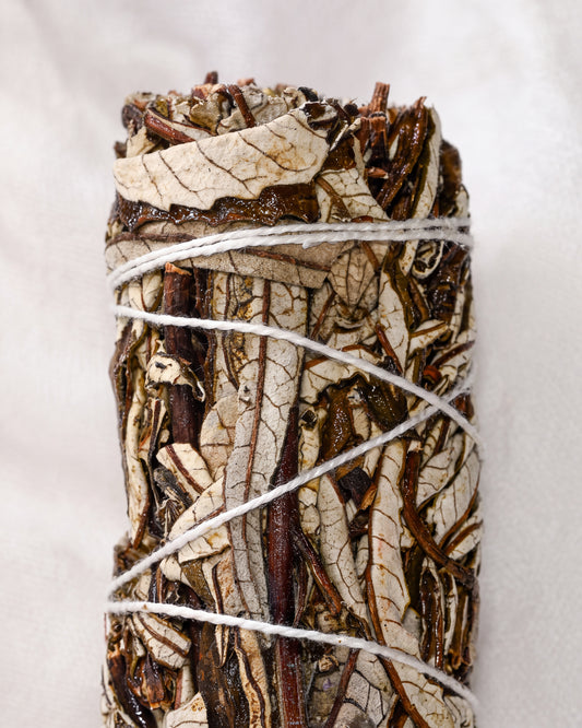 Yerba santa smudge stick, dried leaves and dark stems bound with white string, shown close against a pale background.